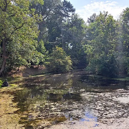 Waldi Centrum Park *